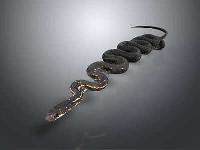 Black Shiny Snake Coiled on Gray Background with Smooth Scales 3d model
