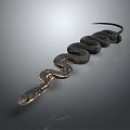 Black Shiny Snake Coiled on Gray Background with Smooth Scales 3d model