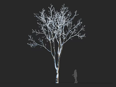 Tall Leafless Arbor With Small Human Silhouette Against Dark Background 3d model