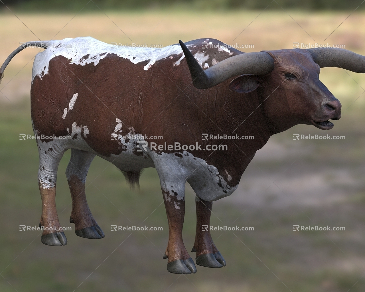 Texas Texas Longhorns Biological Animals 3d model