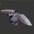 Flying Animal Bird With Spread Wings Blue Feathers And Black White Head