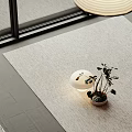 Light Colored Square Rug with Potted Plant and Decorative Ball in Indoor Space