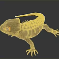 Spiked Back Reptile Lizard With Vibrant Orange Eyes And Detailed Skin