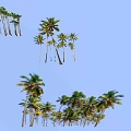 Tall Palm Trees With Lush Green Leaves Against Clear Blue Sky