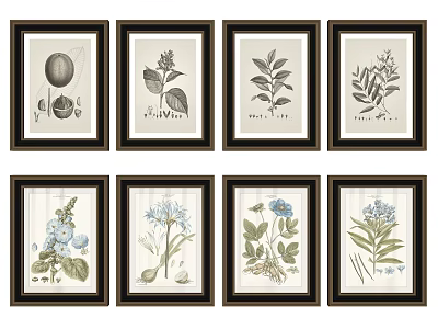 Eight Framed Botanical Prints With Various Plants Leaves Flowers And Fruits For Wall Decor 3d model