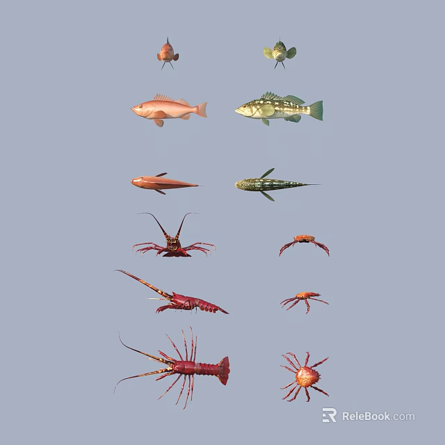 Different Types of Aquatic Animals Such as Colorful Fish Lobsters and Crabs 3d model 