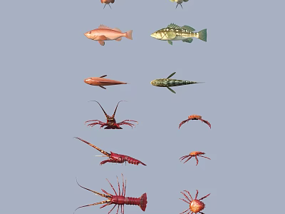 Different Types of Aquatic Animals Such as Colorful Fish Lobsters and Crabs 3d model
