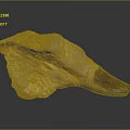 Paleontologist Examining Ancient Dinosaur Fossilized Tooth Specimen With Rough Surface Texture