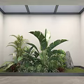White Wall Indoor Plant Landscape With Large Leaf Mixed Greenery Stone And Skylight