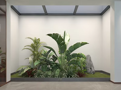 White Wall Indoor Plant Landscape With Large Leaf Mixed Greenery Stone And Skylight 3d model