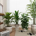 Indoor Decorative Potted Plants with Various Pots Near Window Blinds