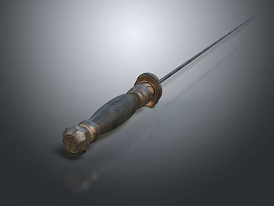 Professional Fencing Sports Equipment With Textured Metal Handle And Polished Long Blade Design 3d model