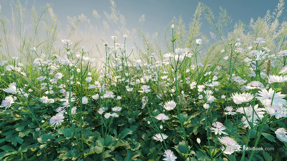 Vibrant White Flowers With Green Leaves And Tall Grasses In Natural Garden 3d model 