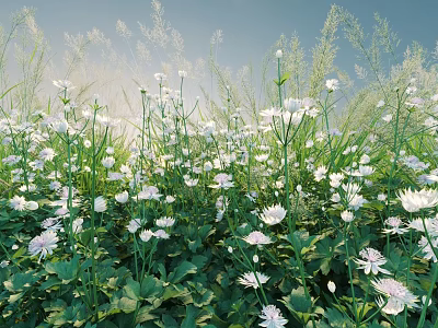 Vibrant White Flowers With Green Leaves And Tall Grasses In Natural Garden 3d model