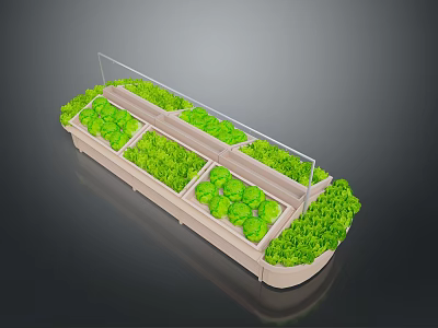 Vegetable Display Shelf With Transparent Glass Cover And Multiple Compartments For Green Vegetables 3d model