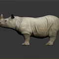 White Rhinoceros Sculpture Model Standing On Smooth Surface With Gray Background 3d model