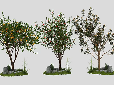 Different Types of Arbor Trees With Colorful Fruits Green Grass and Stones 3d model