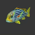 Vibrant Tropical Fish With Blue Stripes Yellow Spots And Red Accents