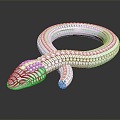 Modern cartoon animal snake cobra venomous snake python 3d model