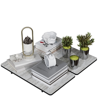 Modern ornaments combination books ashtray desktop green plant time 3d model