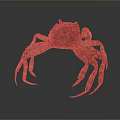 Detailed Brown Aquatic Crab With Textured Shell And Long Legs On Smooth Surface