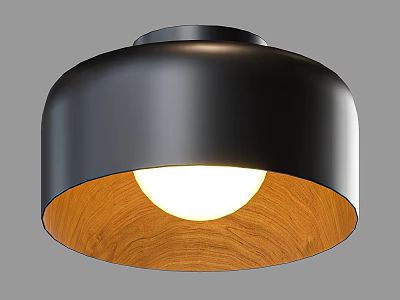 Black Ceiling Light With Wooden Interior And Illuminated Glow 3d model