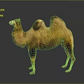 Brown Camel Standing On Shiny Surface With Two Humps And Reflection 3d model