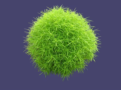 Lush Green Round Grass Ball With Dense Foliage On Purple Background 3d model