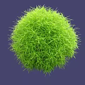Lush Green Round Grass Ball With Dense Foliage On Purple Background