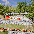 Rural Fruit Orchard Landscape With Stone Wall Wicker Baskets And Colorful Flowers