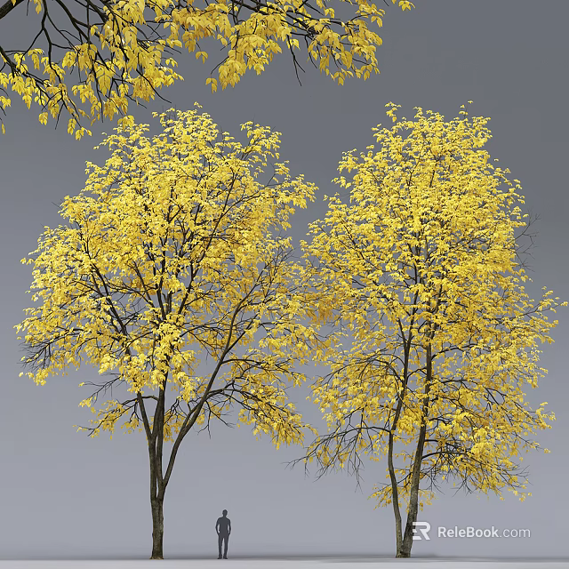 Two Tall Arbor Trees With Yellow Leaves Against Gray Sky Background 3d model 