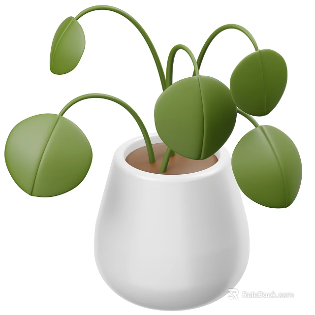 Stylish Bonsai Potted Plant With White Ceramic Pot And Fresh Green Leaves 3d model 