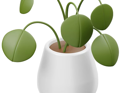 Stylish Bonsai Potted Plant With White Ceramic Pot And Fresh Green Leaves 3d model