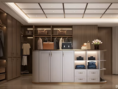 Modern Walk in Closet Interior With Storage Cabinets Lighting And Flowers 3d model