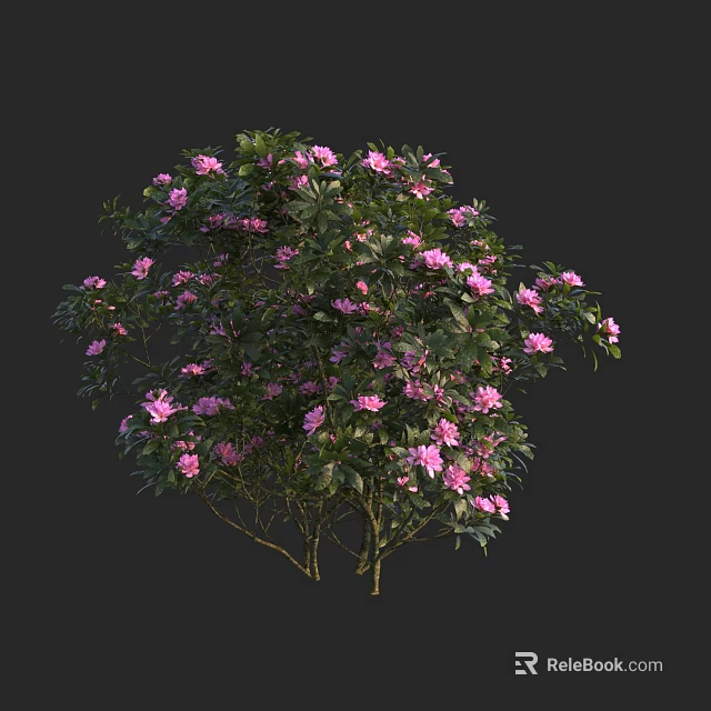 Vibrant Flowering Tree In Full Bloom With Pink Flowers And Green Leaves 3d model 