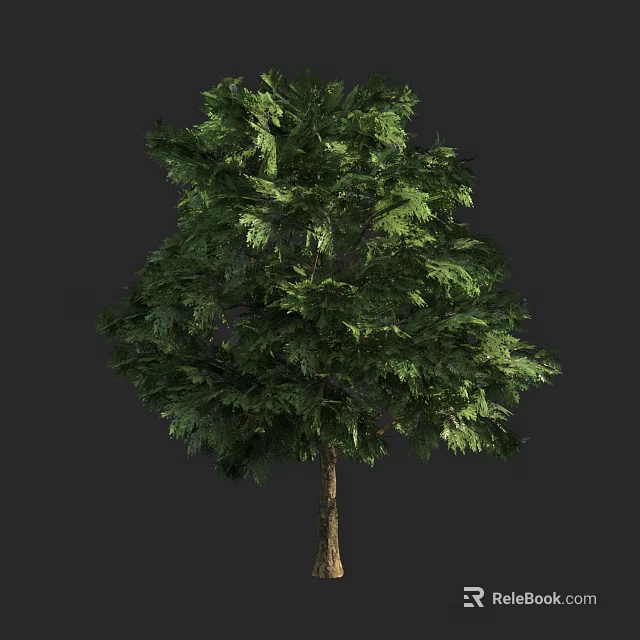 Lush Green Arbor With Tall Sturdy Trunk And Dense Foliage In Natural Scene 3d model 
