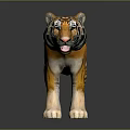 Realistic 3D Tiger Model With Orange Stripes White Belly Open Mouth And Gray Background