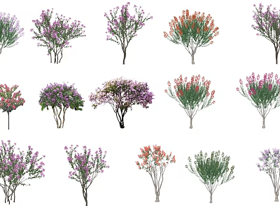 Colorful Flowering Arbor Trees With Various Blooms For Garden Landscape Design 3d model