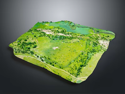 Natural Landscape Aerial View With Green Grassland Trees And Water Area 3d model