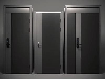 Sleek Modern Security Doors With Steel Construction And Secure Lock Systems 3d model