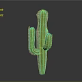 Tall Green Cactus Plant With Spiny Arms Standing On Gray Background