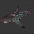 Realistic Gray Spotted Shark With Open Mouth Sharp Teeth And Dorsal Fin