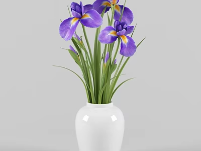 White Vase With Purple Irises And Green Stems Leaves Decorative Flowers 3d model
