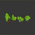 3D Rendered Green Trees with Brown Trunks Different Sizes and Ground Reflections on Gray Background