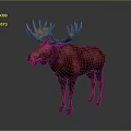 Majestic Moose With Large Antlers And Thick Brown Fur Standing On Gray Background