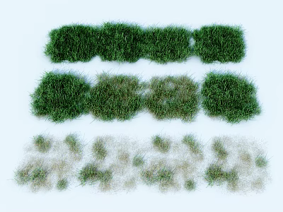 Different Green Grass Patches in Rows with Dry and Lush Varieties 3d model