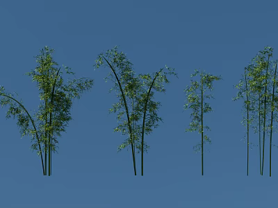 Leafy Green Bamboo Plants In Various Heights Against Clear Blue Sky Background 3d model