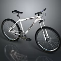 GIANT Bicycle With White Frame Black Seat And Modern Design Black Tires