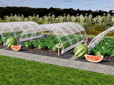 Garden Landscape Featuring Transparent Greenhouses With Watermelon And Vegetable Plants Pathway And Grass 3d model