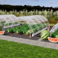 Garden Landscape Featuring Transparent Greenhouses With Watermelon And Vegetable Plants Pathway And Grass